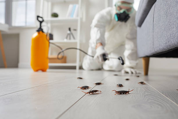 Commercial Kitchen Cockroach Control in Orwigsburg